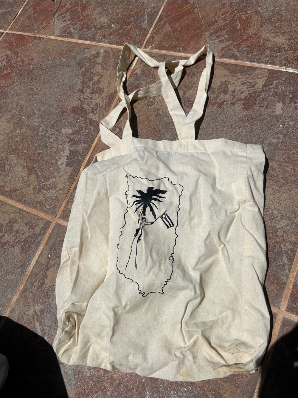 Canvas Tote Bag with Palm Print – Cream with bandera de Puerto Rico 🇵🇷